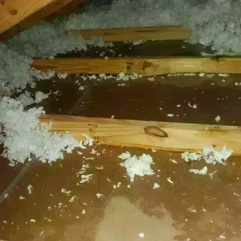 Attic Water Damage in Forman, ND