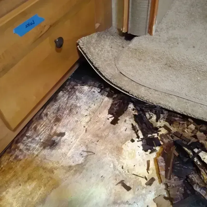 Wood Floor Water Damage in Forman, ND